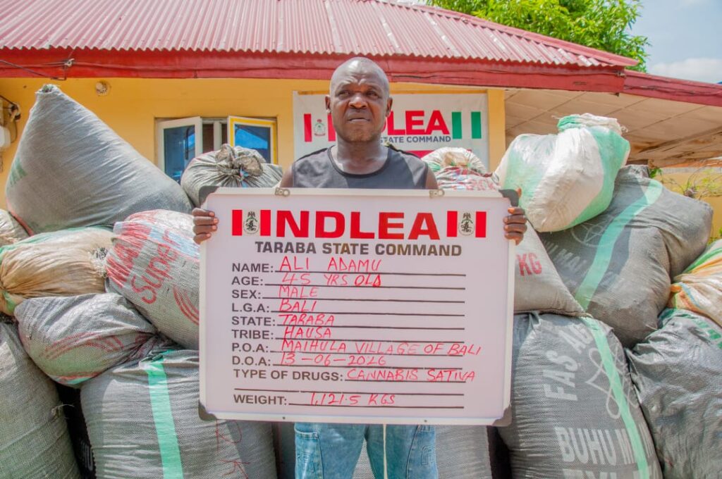 NDLEA Strikes Massive Blow with Record-Breaking 1.1-Tonne Cannabis Bust in Taraba
