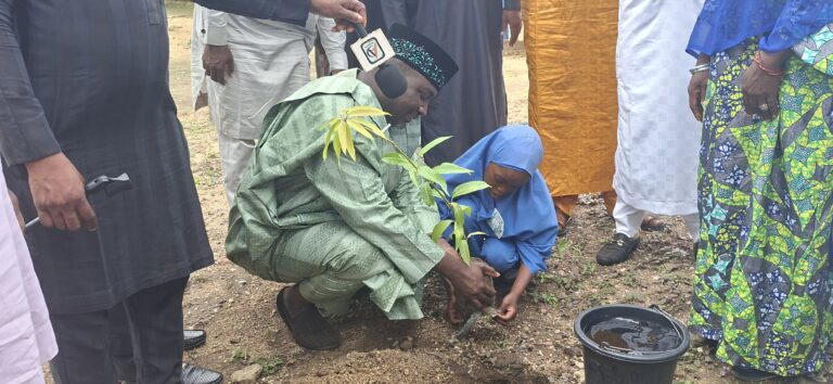 Bauchi establishes environment, climate change action across schools 