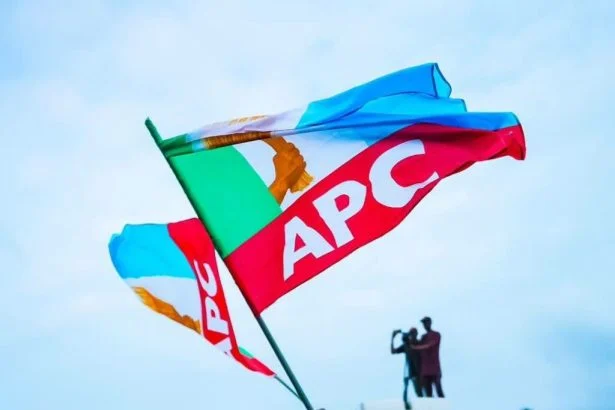 Bauchi: APC group urges ex-Minister Tuggar to accept defeat of governorship primary 