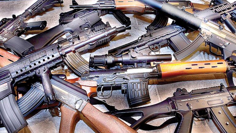 Insecurity: NCCSALW partners NGO to curb arms proliferation in Northeast