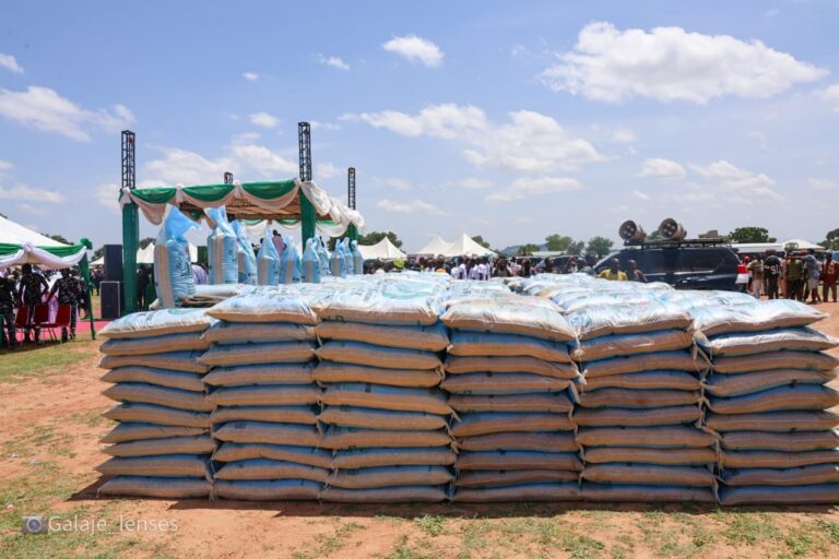 Bauchi subsidises fertiliser by 47.3 percent, gives N625m to 1,250 agripreneurs  