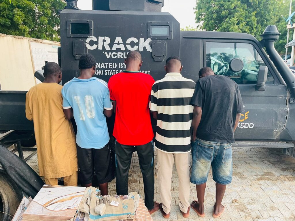 Police arrest five over alleged sale of meat from dead cattle in Borno 