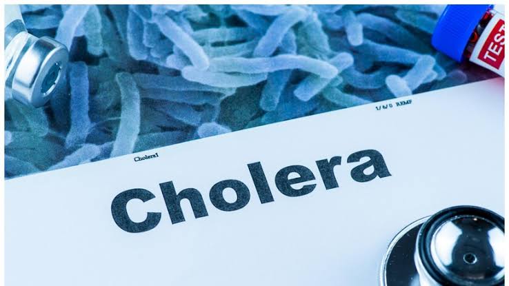 Bauchi declares outbreak of cholera, suspecting 398 cases in 13 LGAs
