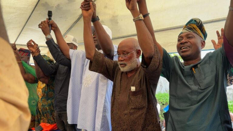 Amosun supporters dump APC for PDP, endorse Iyabo Obasanjo, Amuzu, others
