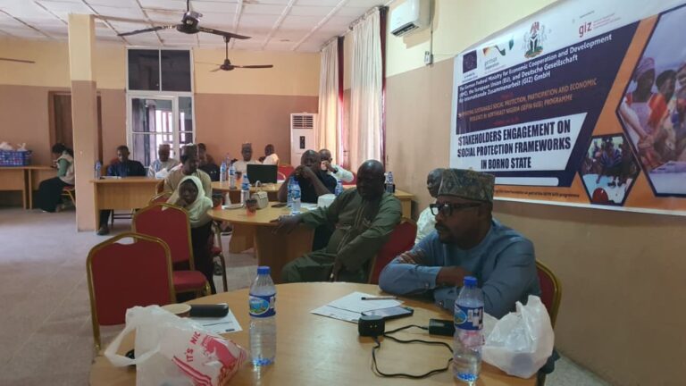 Borno journalists urged to strengthen social protection reporting